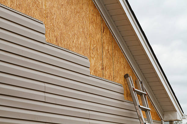Professional Siding Repair technician working in Lake Panasoffkee, FL